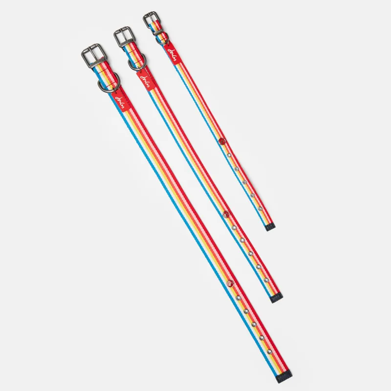 Joules Rainbow Dog Collar-3